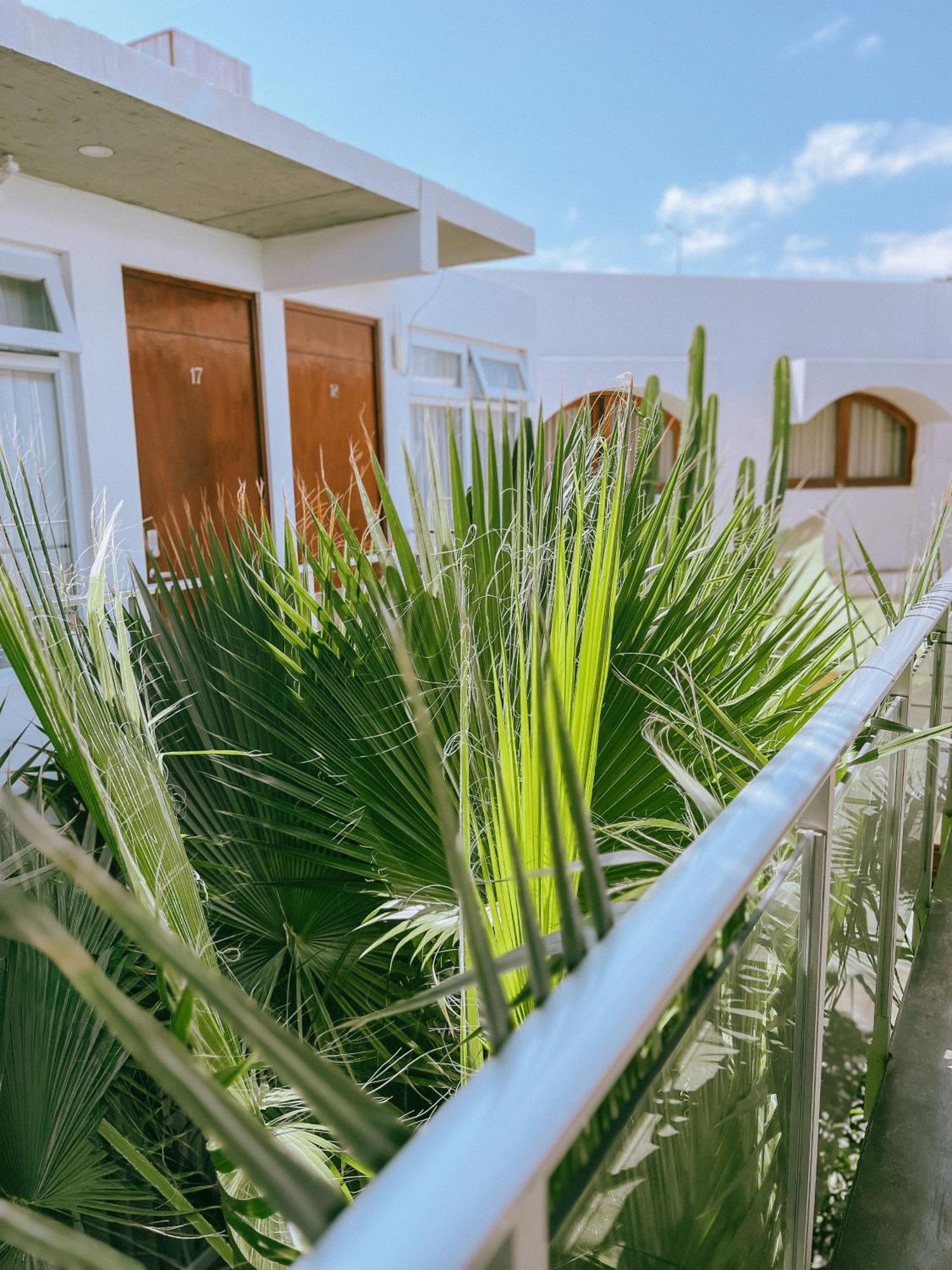 Hotel Puerto Chinchorro Arica Exterior foto